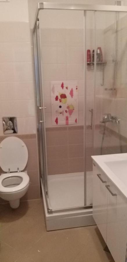 Apartman Slavica روغوزنيكا المظهر الخارجي الصورة
